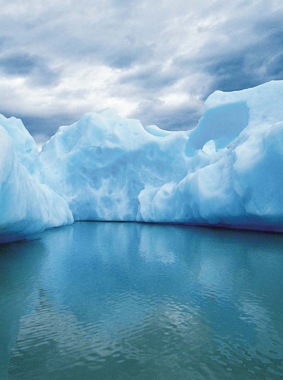 Patagonia icebergs